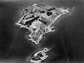 No Vegetation pre-1968